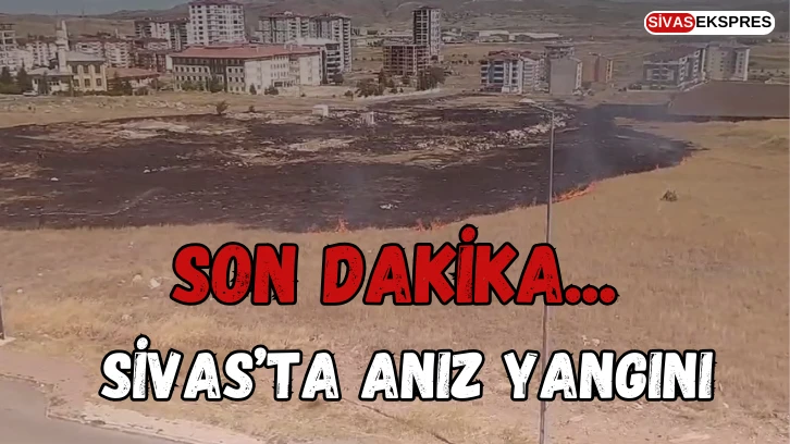 Son Dakika... Sivas’ta Anız Yangını