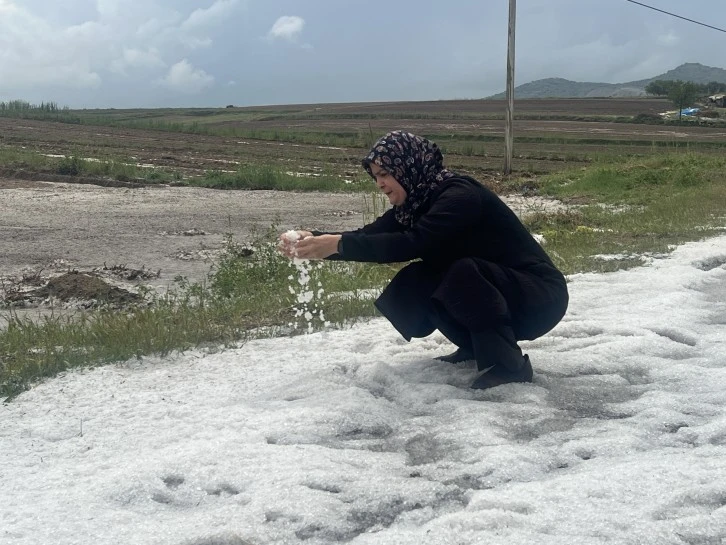 Tarım Arazilerini Dolu Vurdu