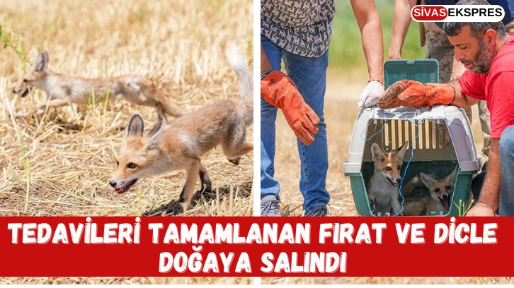 Tedavileri Tamamlanan Fırat ve Dicle Doğaya Salındı