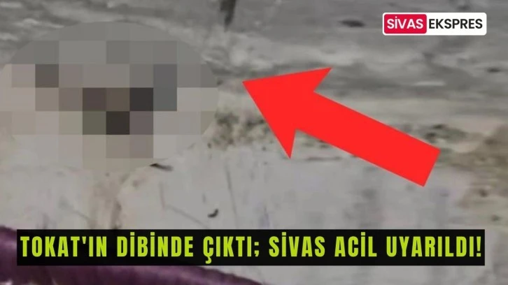 Tokat'ın Dibinde Çıktı; Sivas Acil Uyarıldı!