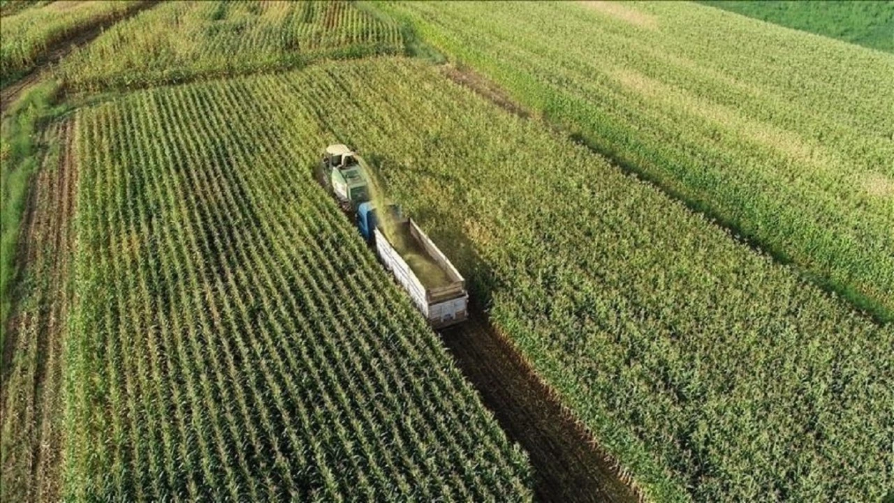 Türk tarımında yeni kapılar açılacak