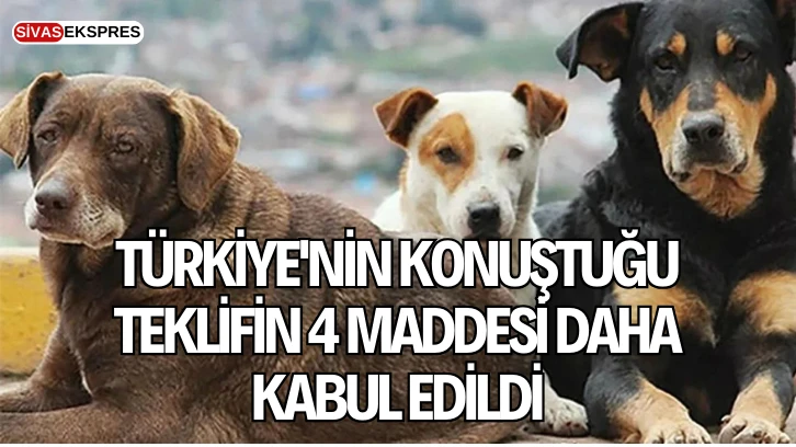 Türkiye'nin Konuştuğu Teklifin 4 Maddesi Daha Kabul Edildi