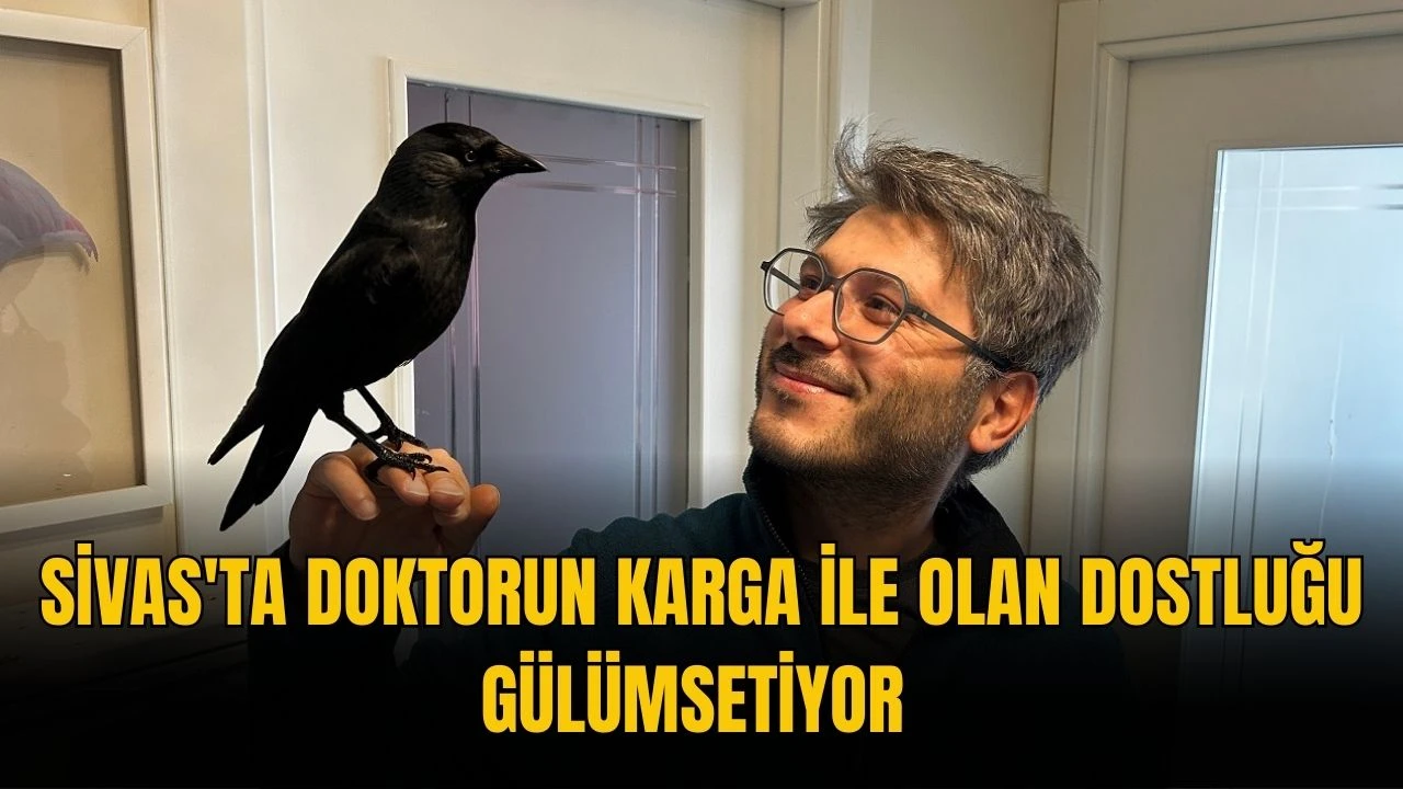 Sivas'ta Doktorun Karga İle Olan Dostluğu Gülümsetiyor 