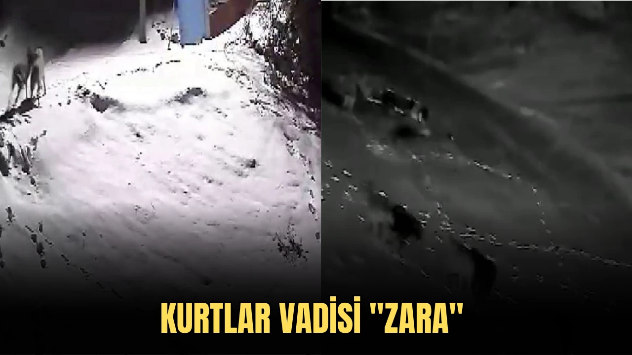 Kurtlar Vadisi &quot;Zara&quot; 