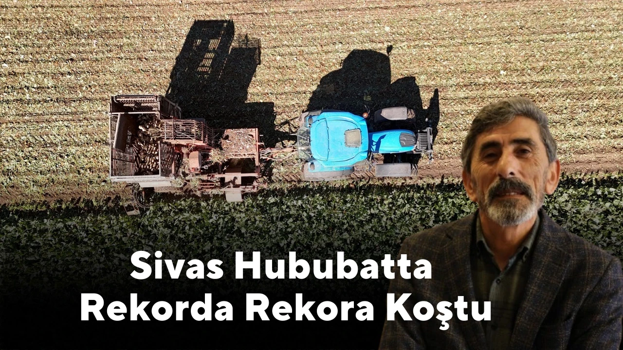 Sivas Hububatta Rekorda Rekora Koştu