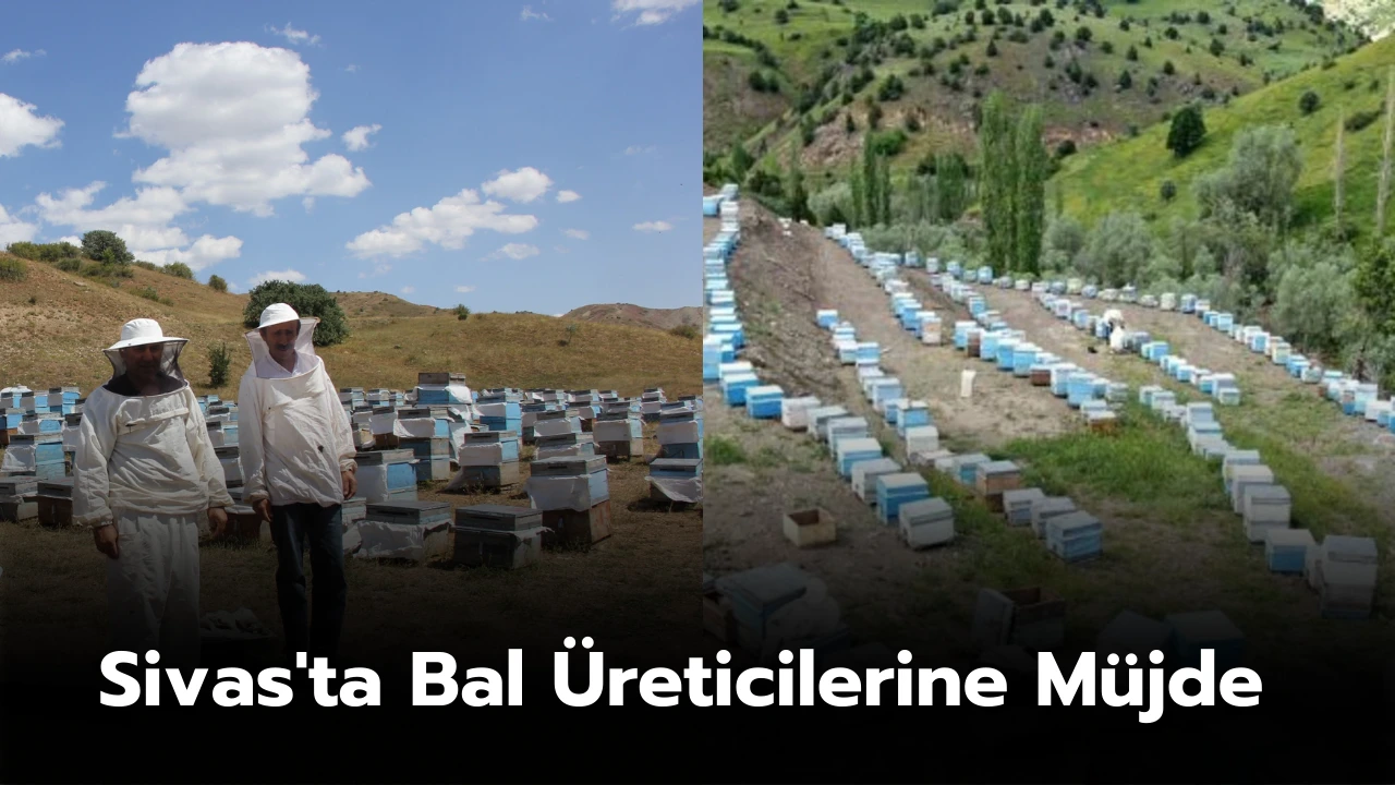 Sivas'ta Bal Üreticilerine Müjde