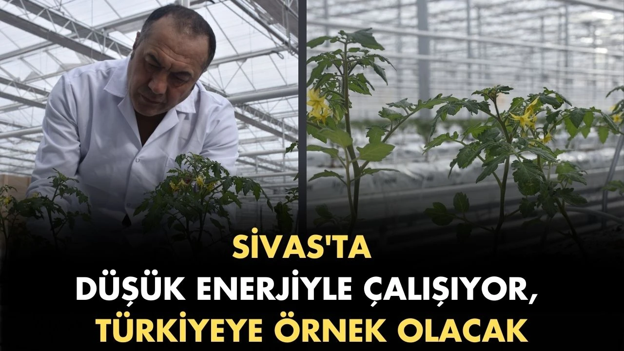 Sivas'ta Düşük Enerjiyle Çalışıyor, Türkiyeye Örnek Olacak