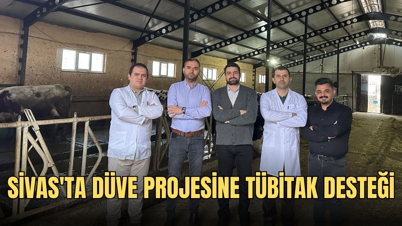 Sivas'ta Düve Projesine TÜBİTAK Desteği