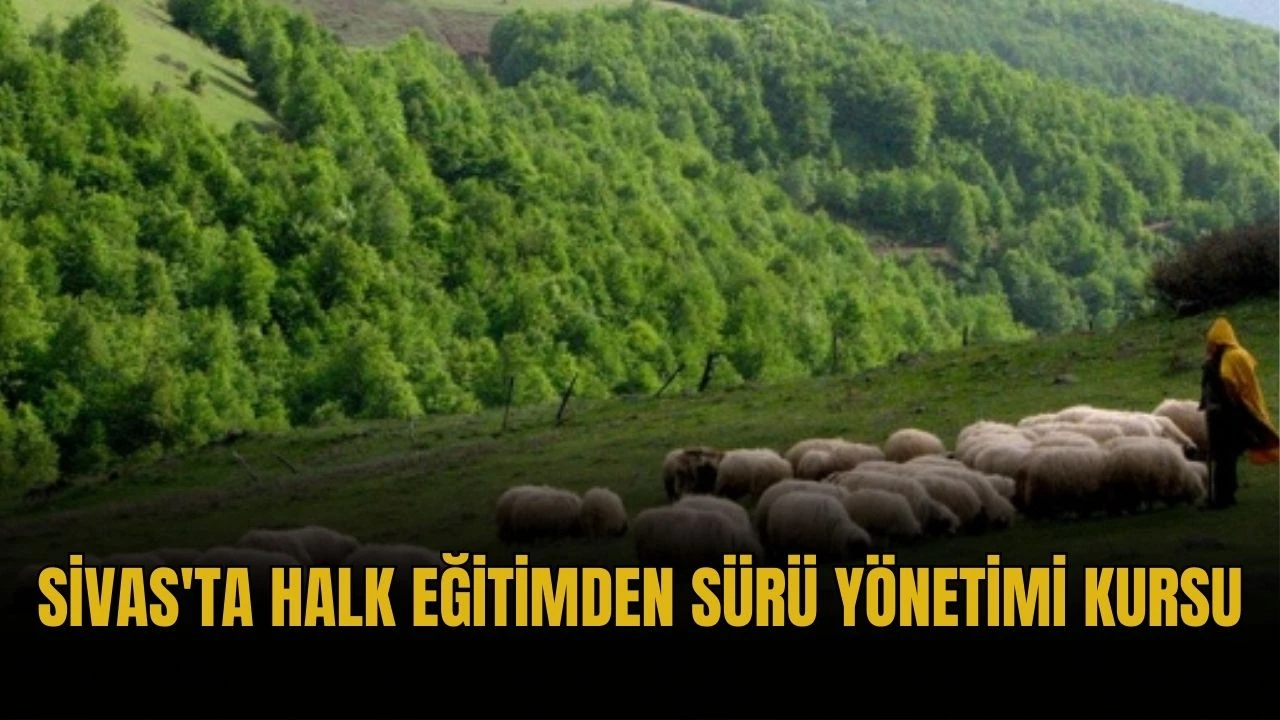 Sivas'ta Halk Eğitimden Sürü Yönetimi Kursu