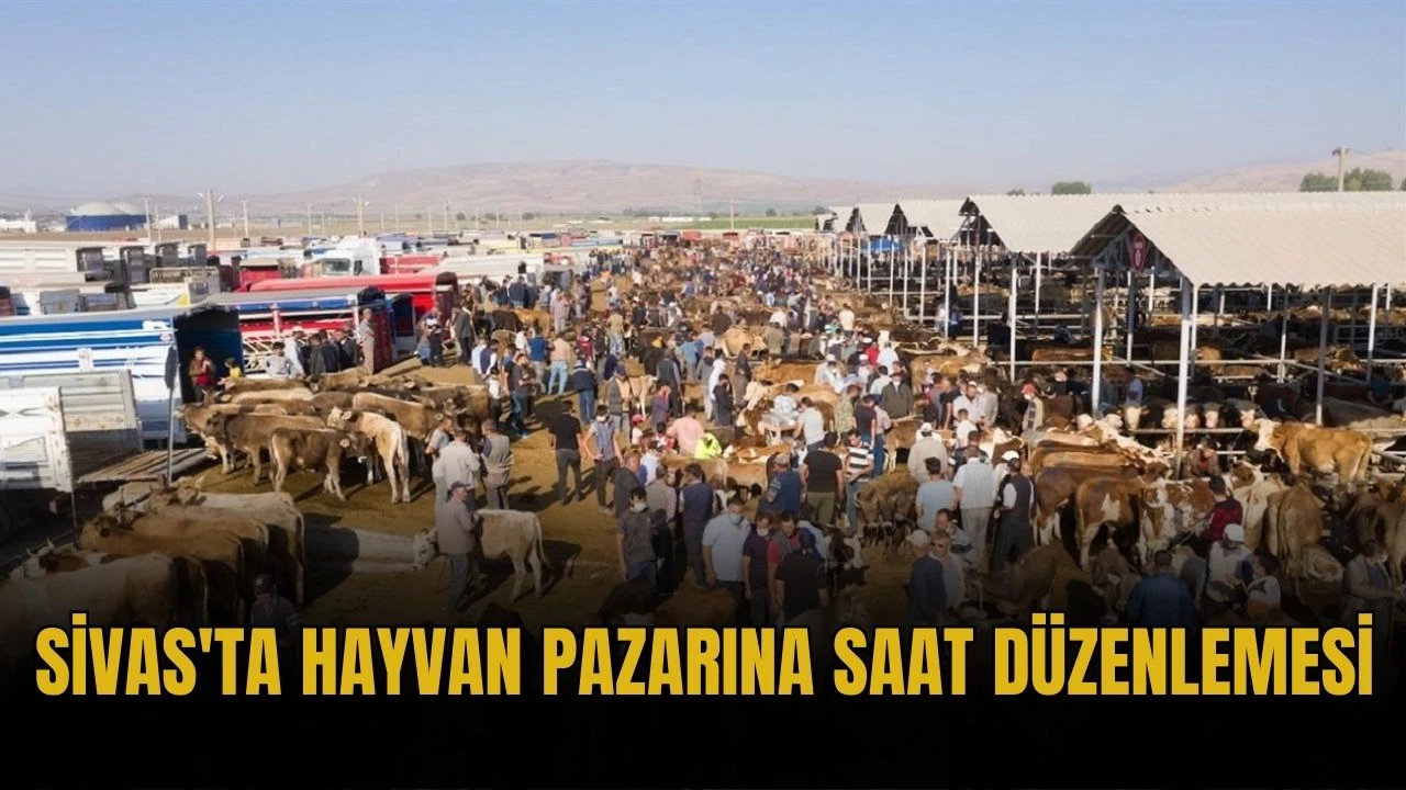 Sivas'ta Hayvan Pazarına Saat Düzenlemesi