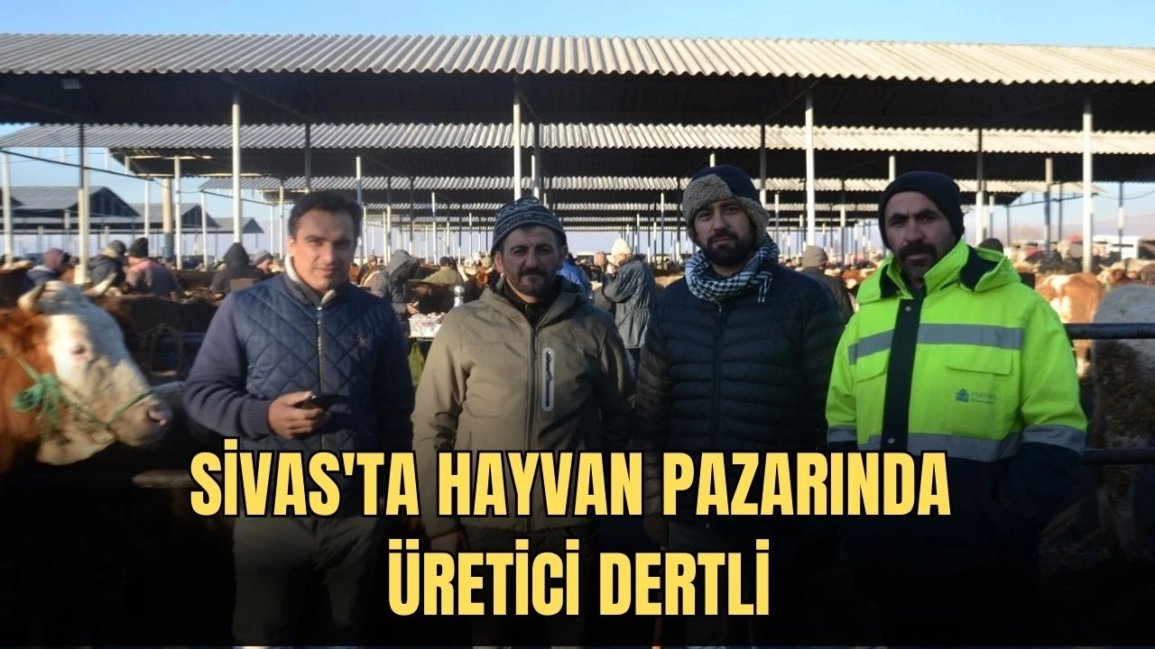 Sivas'ta Hayvan Pazarında Üretici Dertli