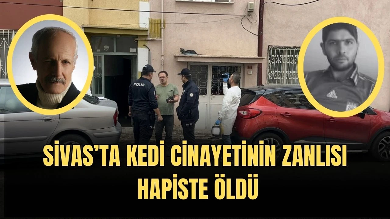 Sivas’ta Kedi Cinayetinin Zanlısı Hapiste Öldü