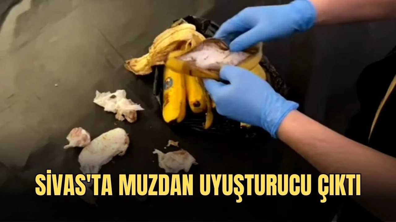 Sivas'ta Muzdan Uyuşturucu Çıktı