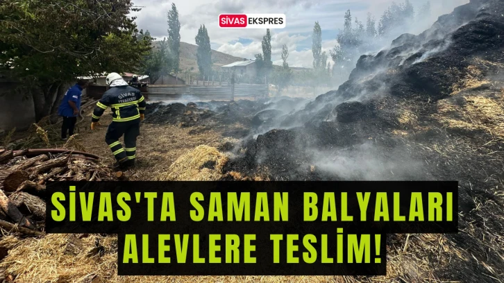 Sivas'ta Saman Balyaları Alevlere Teslim!
