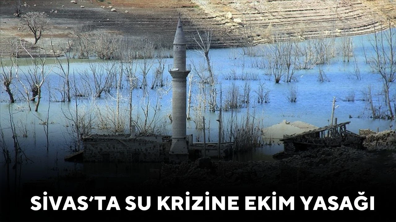 Sivas'ta Su Krizine Ekim Yasağı