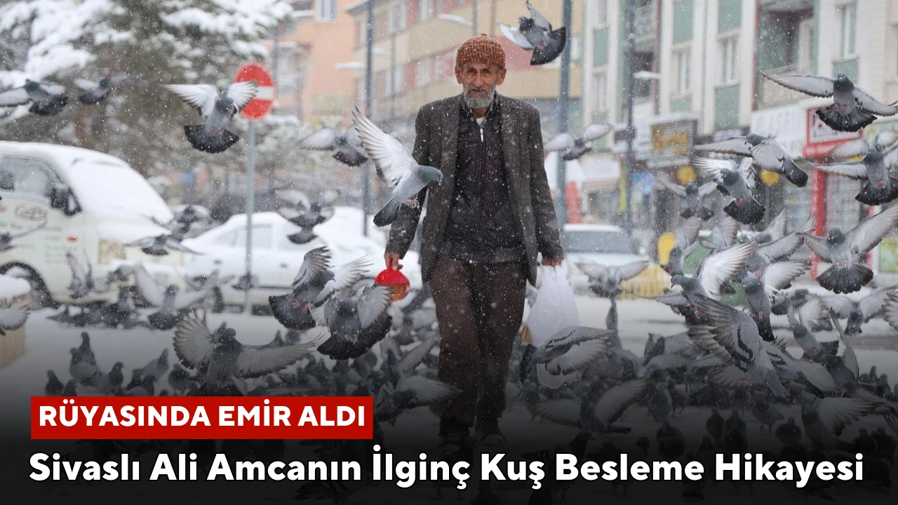 Sivaslı Ali Amcanın İlginç Kuş Besleme Hikayesi