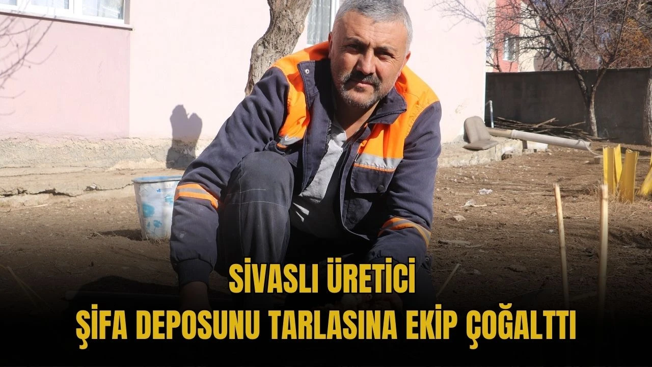 Sivaslı Üretici Şifa Deposunu Tarlasına Ekip Çoğalttı