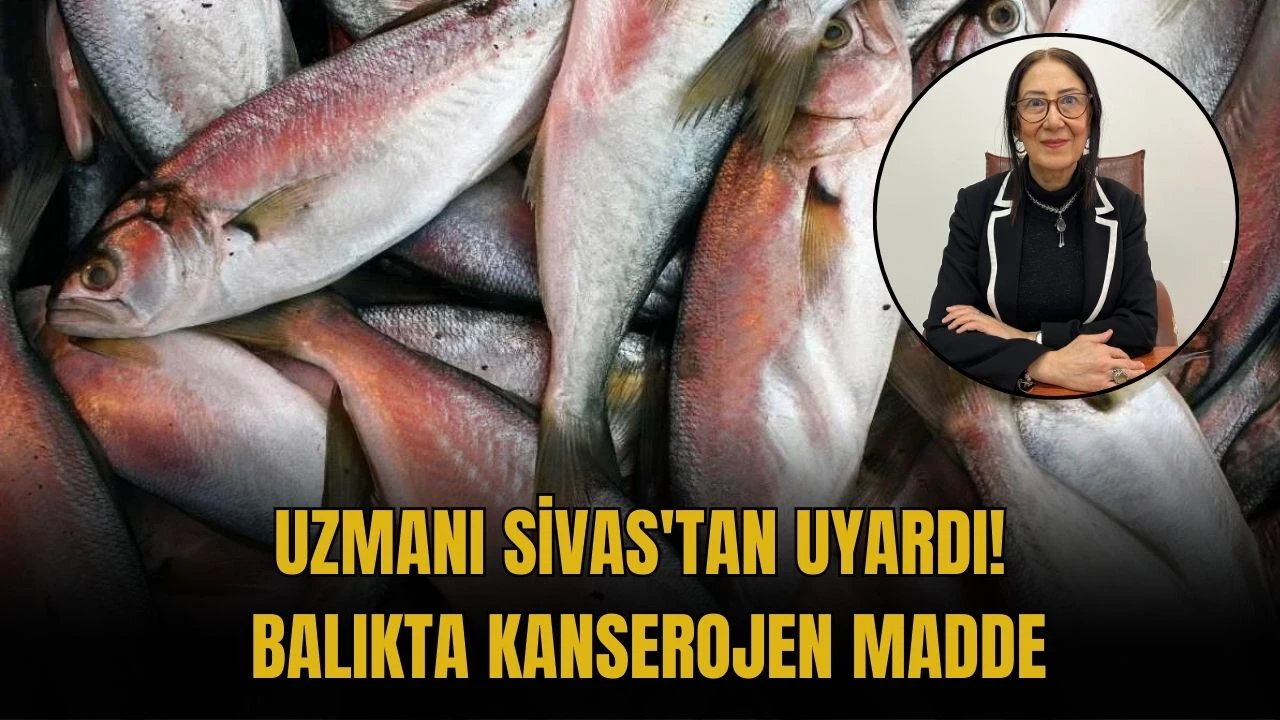 Uzmanı Sivas'tan Uyardı! Balıkta Kanserojen Madde