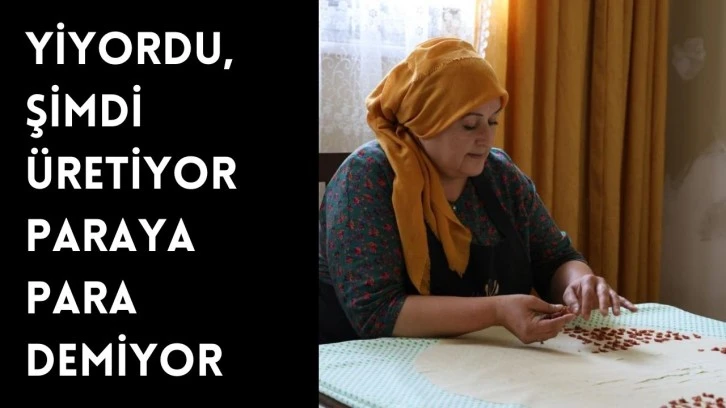 Yiyordu, Şimdi Üretiyor Paraya Para Demiyor