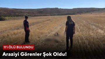 Araziyi Görenler Şok Oldu! 11'i Ölü Bulundu