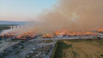 Aydın'da kağıt fabrikasında yangın
