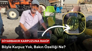 Böyle Karpuz Yok, Bakın Özelliği Ne?