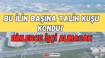 Bu İlin Başına Talih Kuşu Kondu! Binlerce İşçi Alınacak