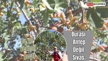 Burası Antep Değil, Sivas