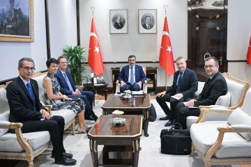 Cumhurbaşkanı Yardımcısı Avrupa Birliği Türkiye Delegasyonuyla Görüştü 