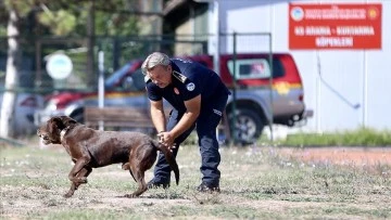 Depremzede, köpekleriyle kendini hayat kurtarmaya adadı