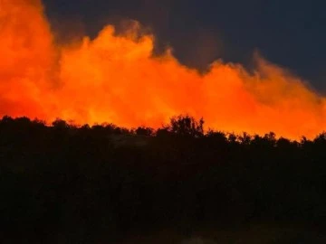 Diyarbakır'da Orman Yangını