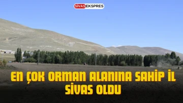 En Çok Orman Alanına Sahip İl Sivas Oldu