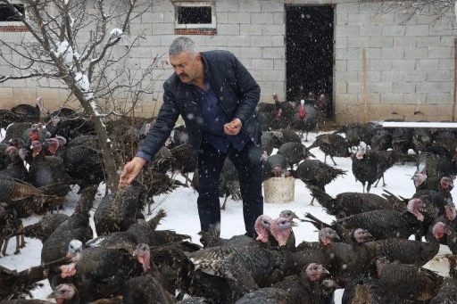 Hindi Rağbet Görmedi, Bakın Çareyi Nasıl Buldu