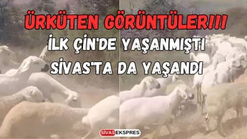 İlk Çin'de Yaşanmıştı, Sivas'ta da Yaşandı