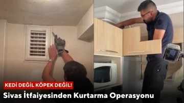 Kedi Değil Köpek Değil! Sivas İtfaiyesinden Kurtarma Operasyonu