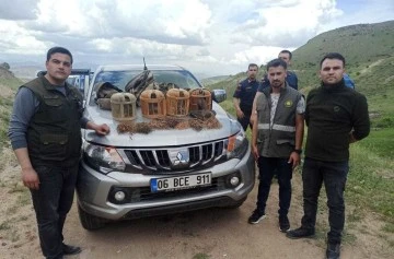 Kınalı Keklik Avcılarına 55 Bin Lira Ceza 