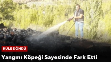 Yangını Köpeği Sayesinde Fark Etti, Otomobil, Kiler ve Odunluk Küle Döndü         