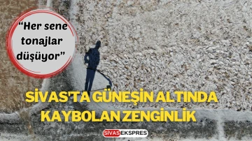 Sivas'ta Güneşin Altında Kaybolan Zenginlik   