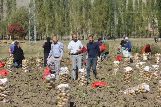 Sivaslı Üretici Aracıları Ortadan Kaldırdı, Artık Kendi İşinin Patronu   