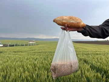 Çiftçinin 1 kilogram buğdayı 1 ekmek etmiyor 