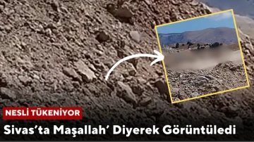 Nesli Tükeniyor! Sivas’ta Maşallah’ Diyerek Görüntüledi