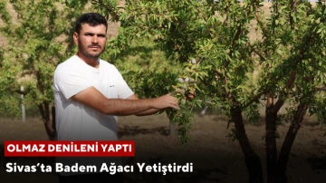 Olmaz Denileni Yaptı Sivas'ta Badem Yetiştirdi!