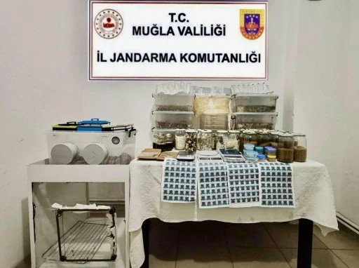 Profesörün Evinde 22 kilo Uyuşturucu Yakalandı