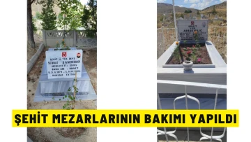 Şehit Mezarlarının Bakımı Yapıldı