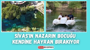 Sivas'ın Nazarın Bocuğu Kendine Hayran Bırakıyor