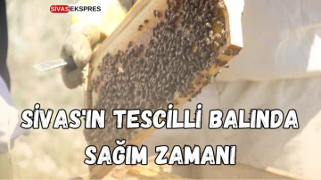 Sivas'ın Tescilli Balında Sağım Zamanı