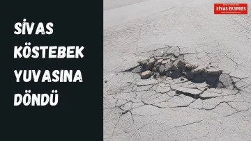 Sivas Köstebek Yuvasına Döndü   