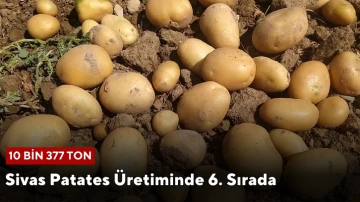 Sivas Patates Üretiminde 6. Sırada 