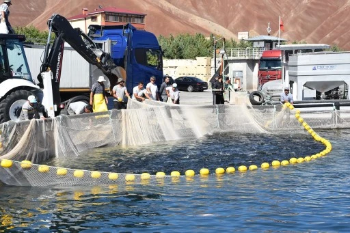 Sivas Somonları Rusya Yolcusu