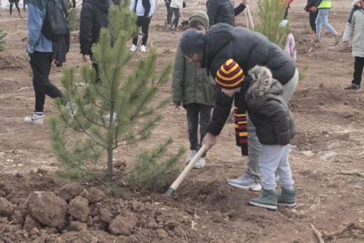 Sivas'ta 11 Bin Fidan Toprakla Buluştu